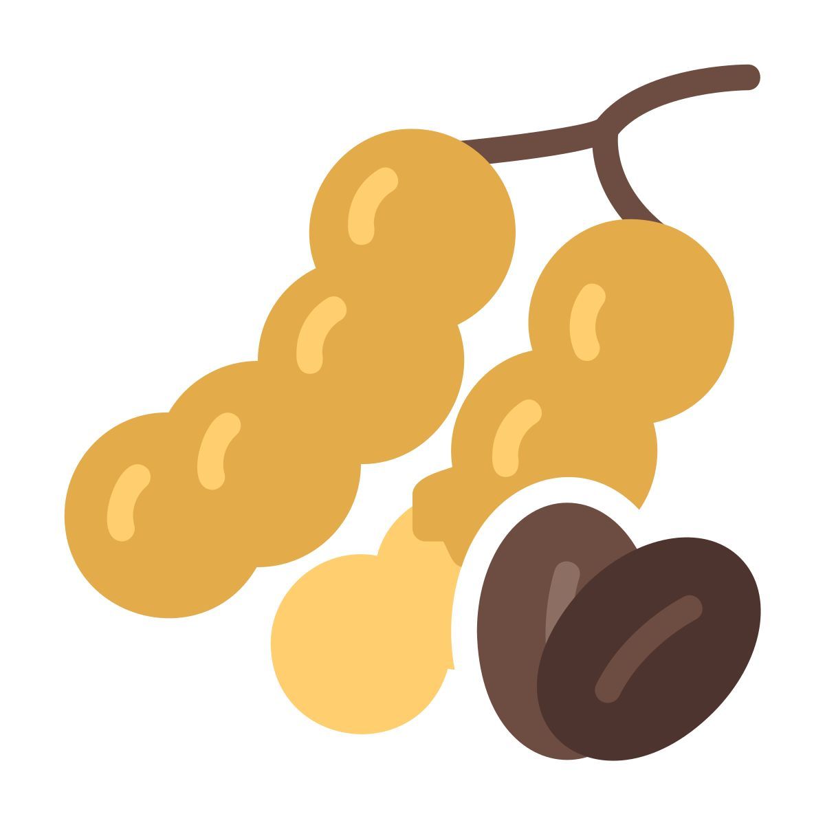 tamarind icon