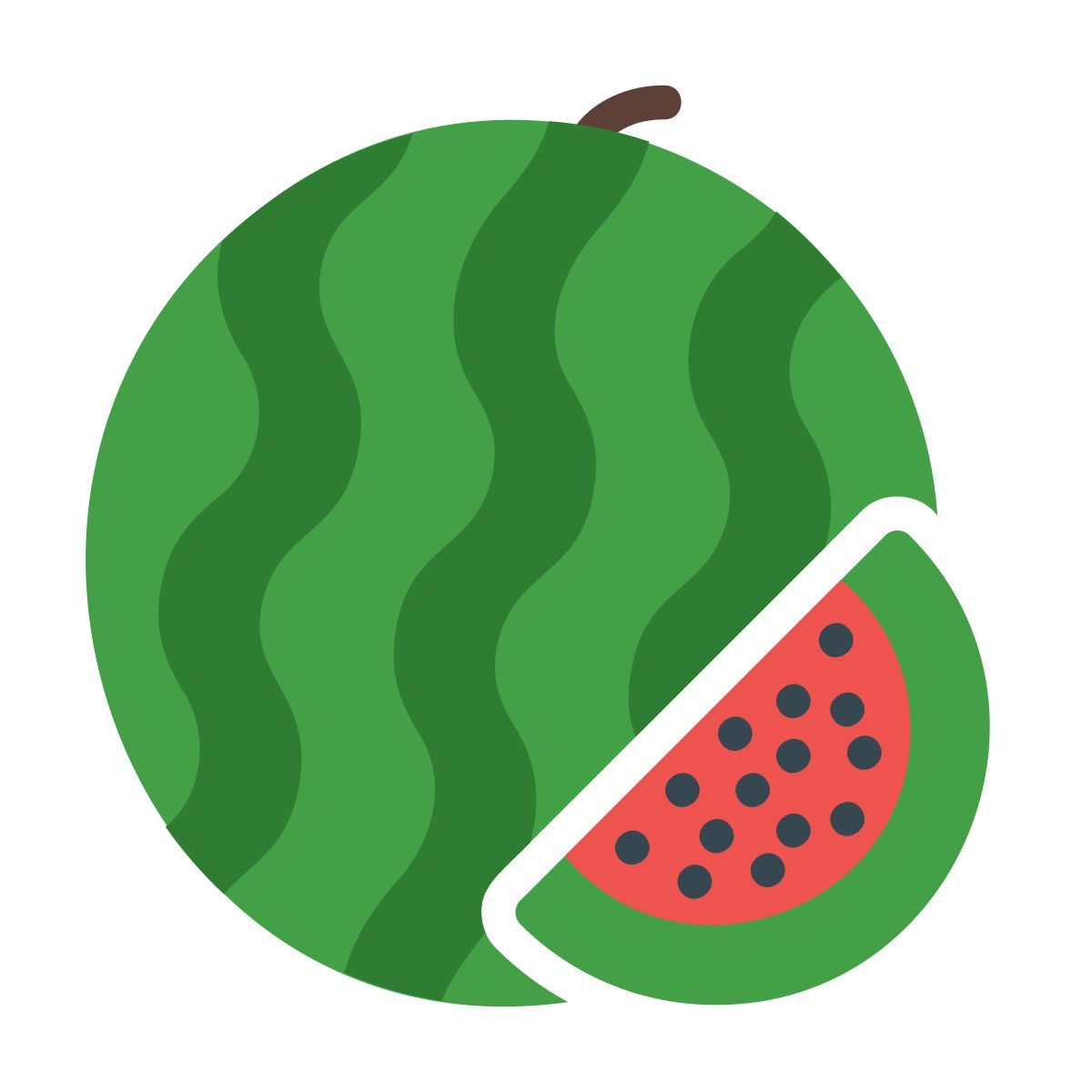 watermelon icon