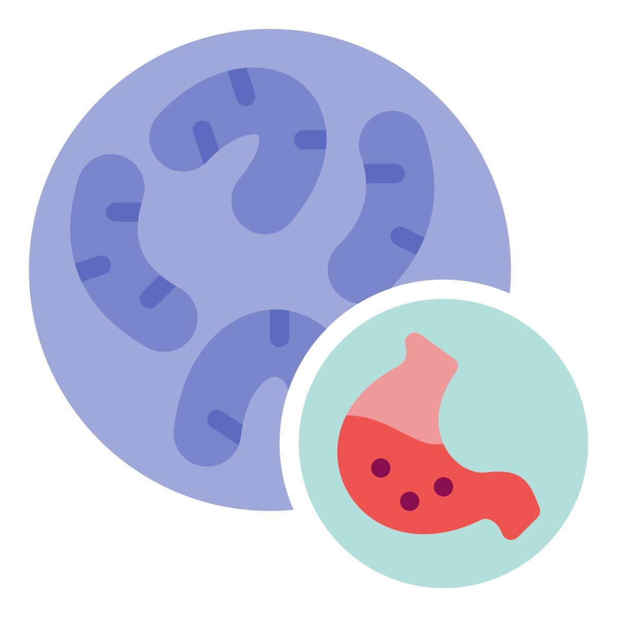 external probiotic health and lifestyle febrian hidayat flat febrian hidayat icon