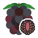 external Blackberry-fruits-febrian-hidayat-flat-febrian-hidayat icon