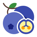 external Blueberry-fruits-febrian-hidayat-flat-febrian-hidayat icon