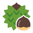 external Chestnut-fruits-febrian-hidayat-flat-febrian-hidayat icon