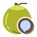 external Coconut-fruits-febrian-hidayat-flat-febrian-hidayat icon