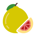 external Pomelo-fruits-febrian-hidayat-flat-febrian-hidayat icon