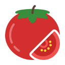 external Tomato-fruits-febrian-hidayat-flat-febrian-hidayat icon