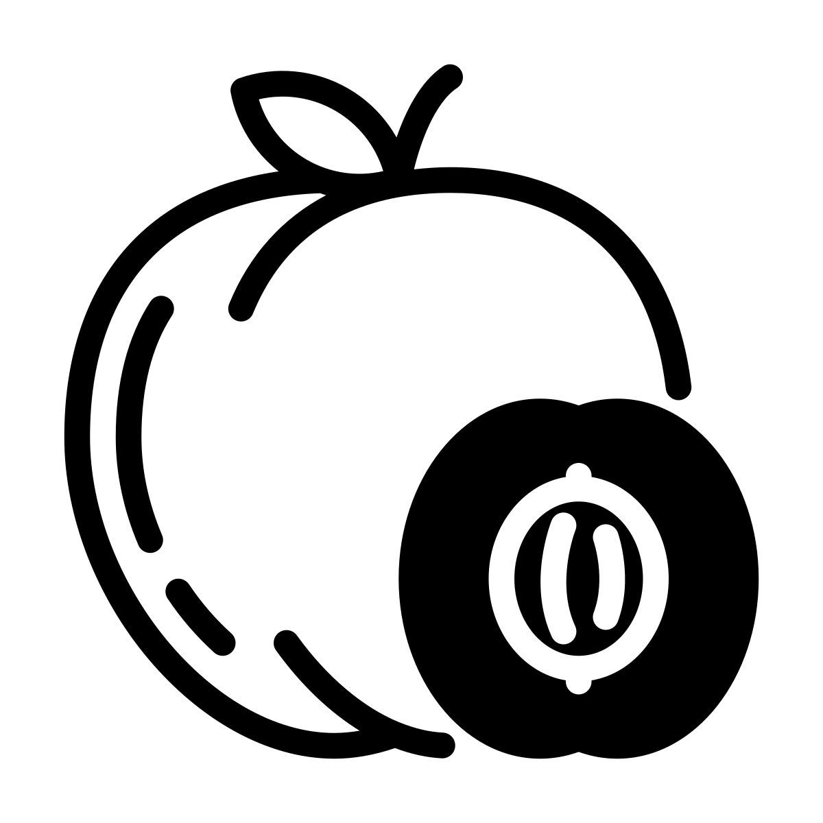 apricot icon