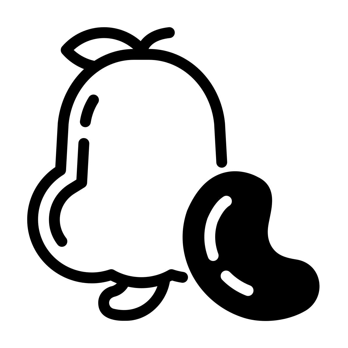 cashew icon
