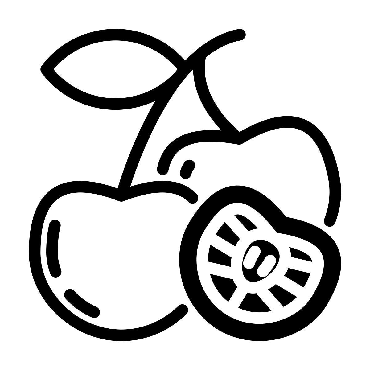 cherry icon