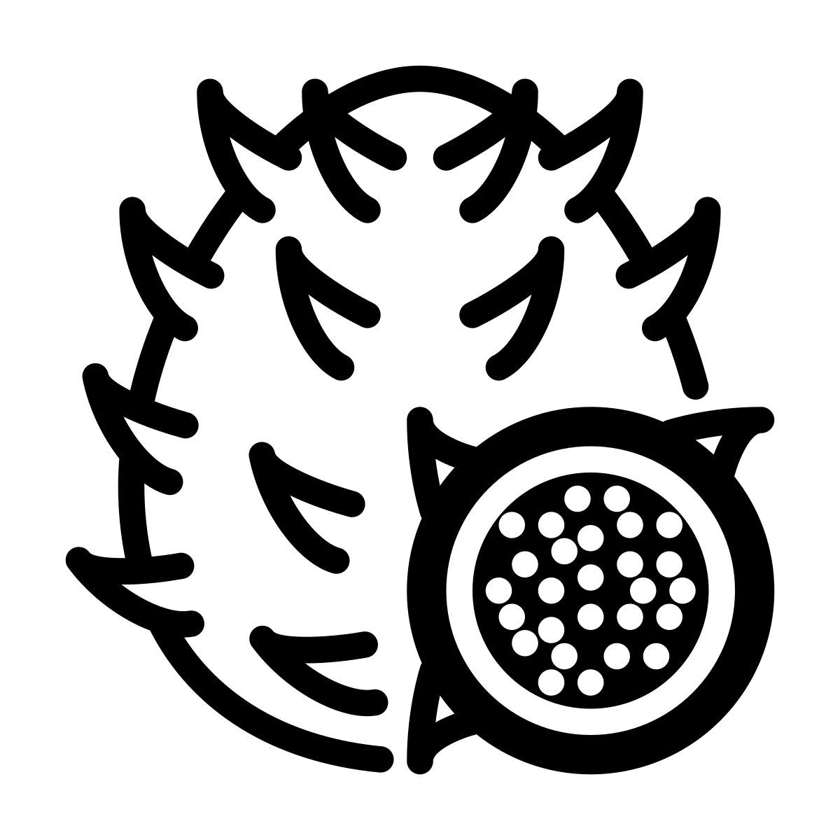 dragonfruit icon
