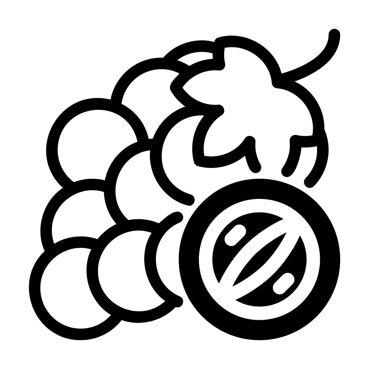 grapes icon