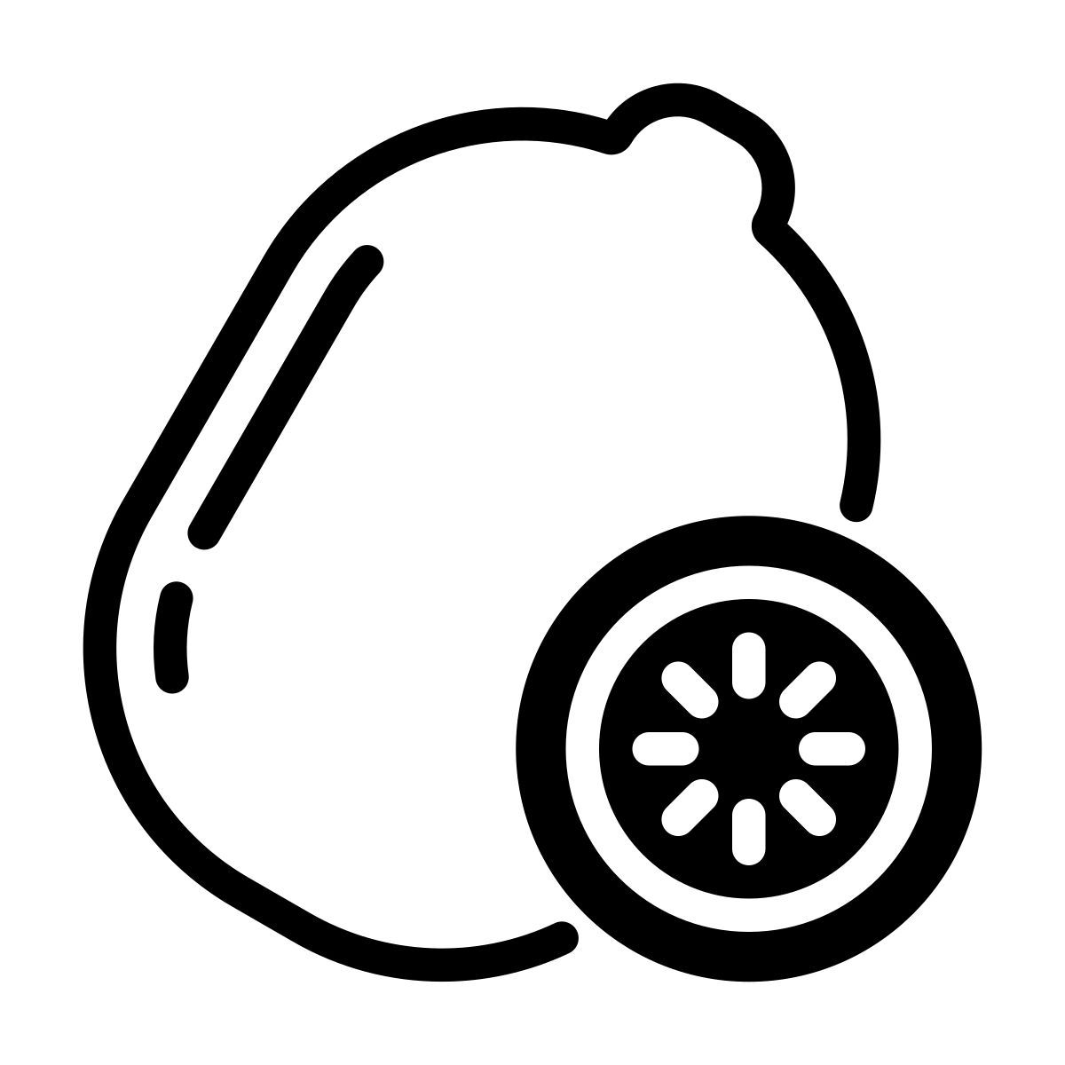 kiwi icon