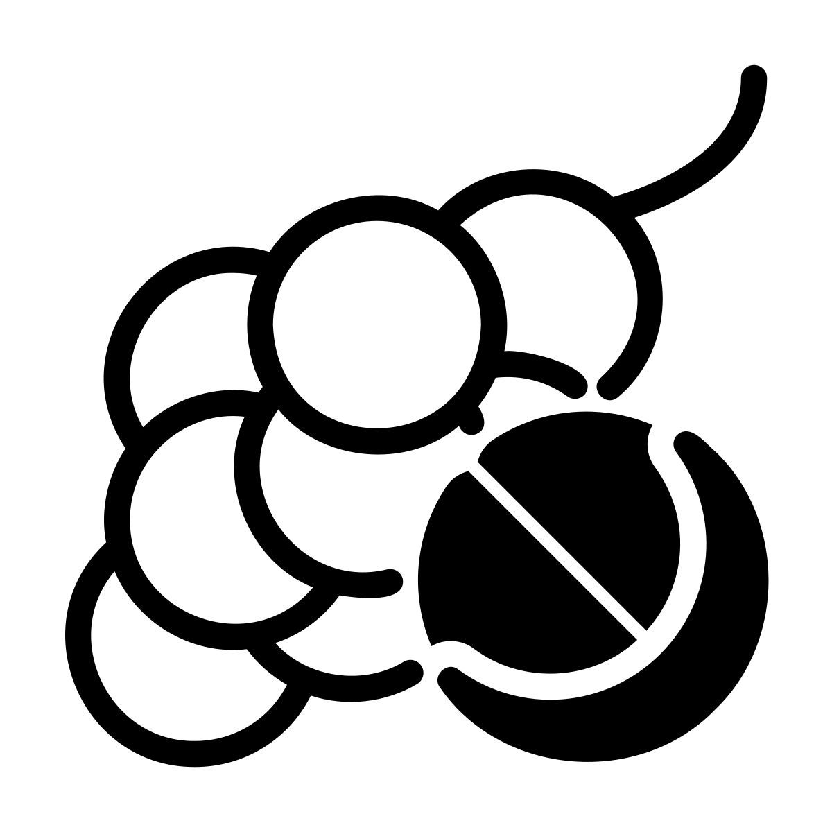 langsat icon