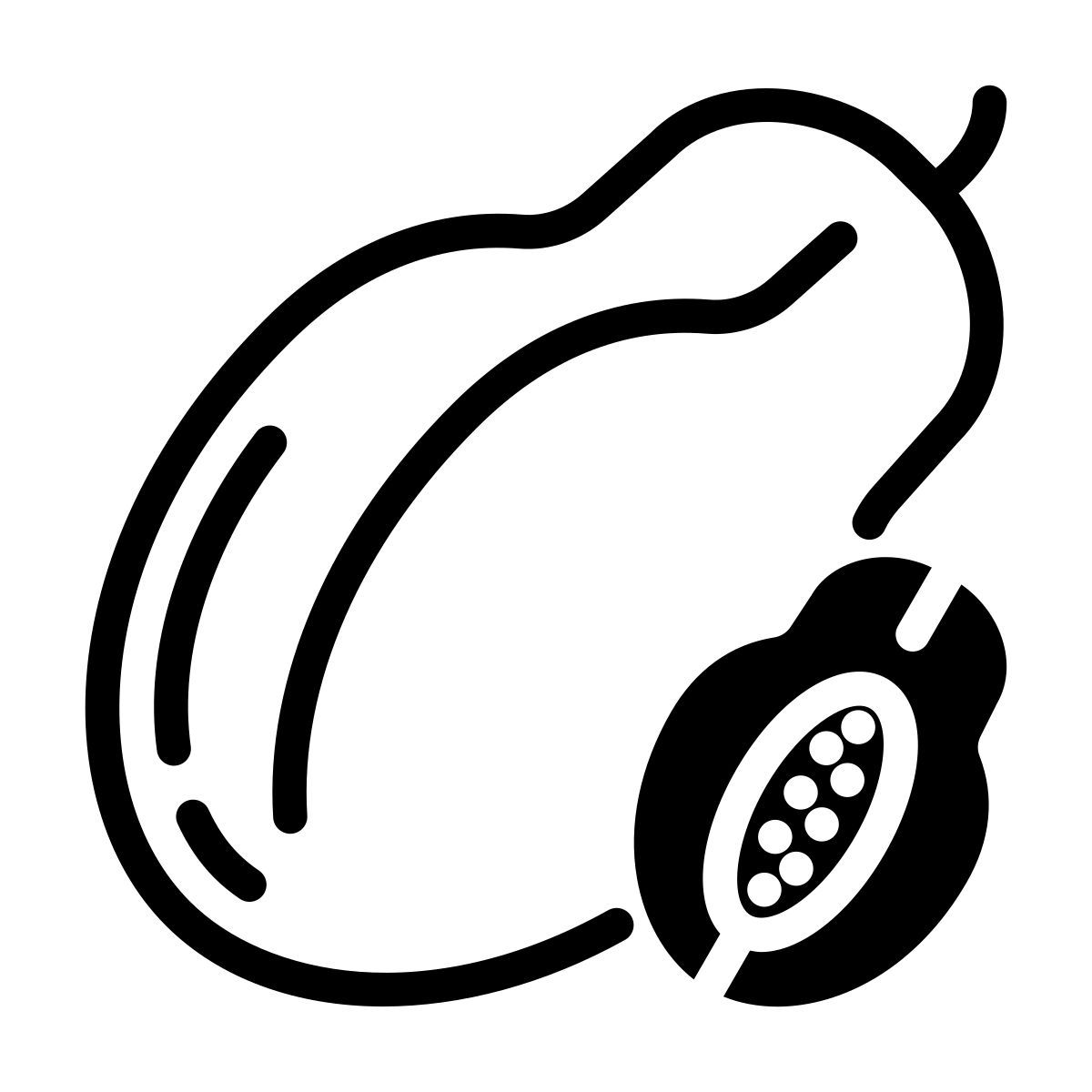 papaya icon