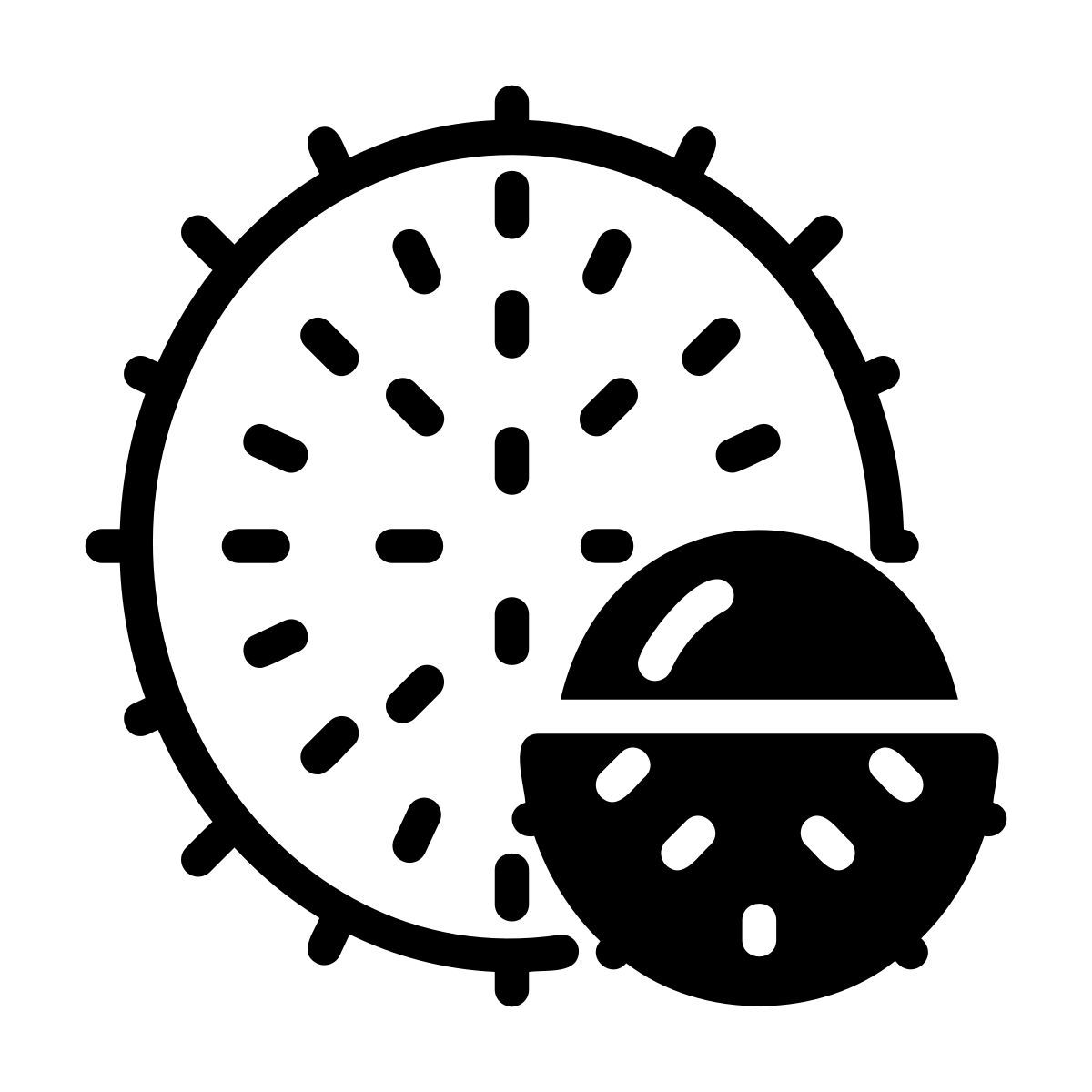 ramboutan icon