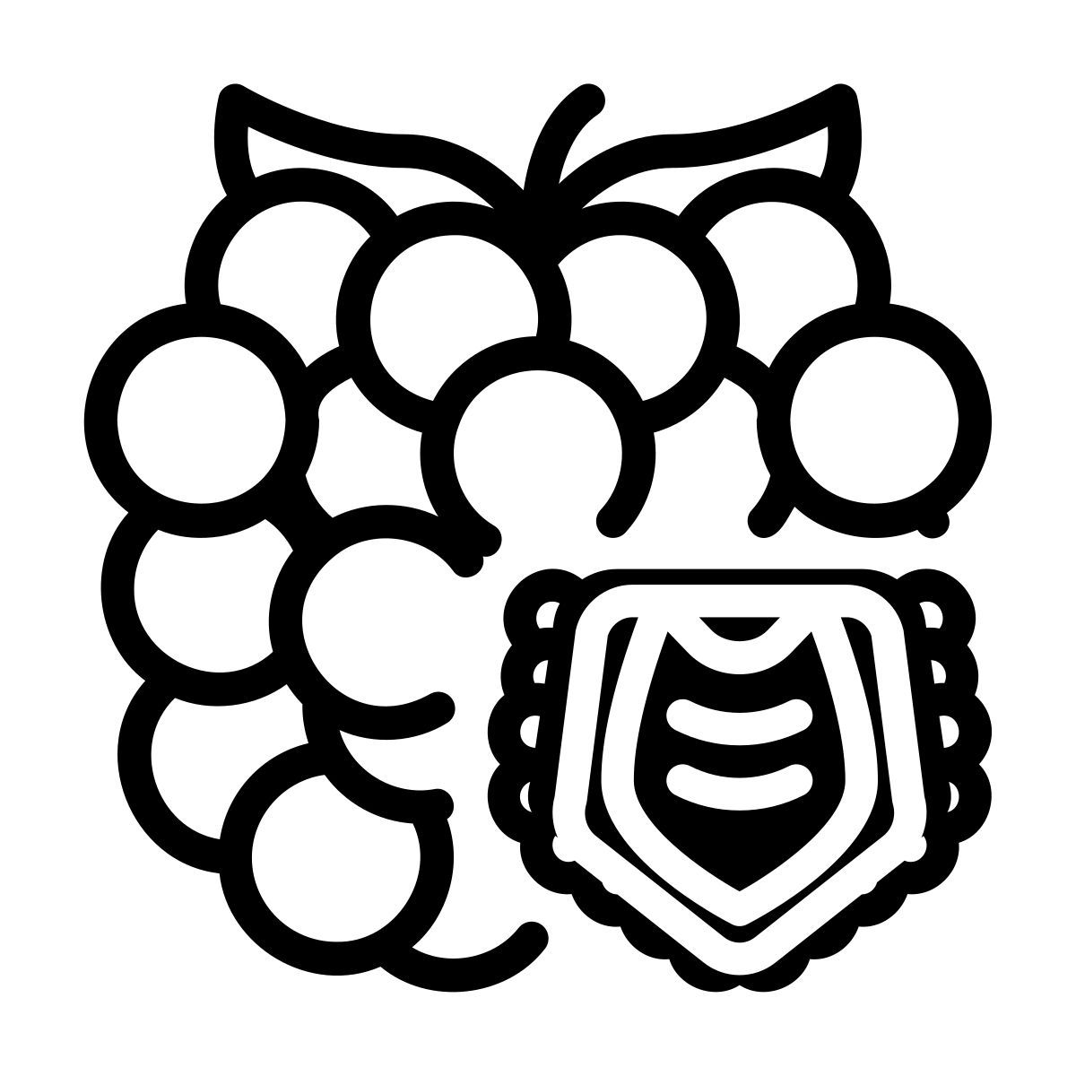 raspberry icon