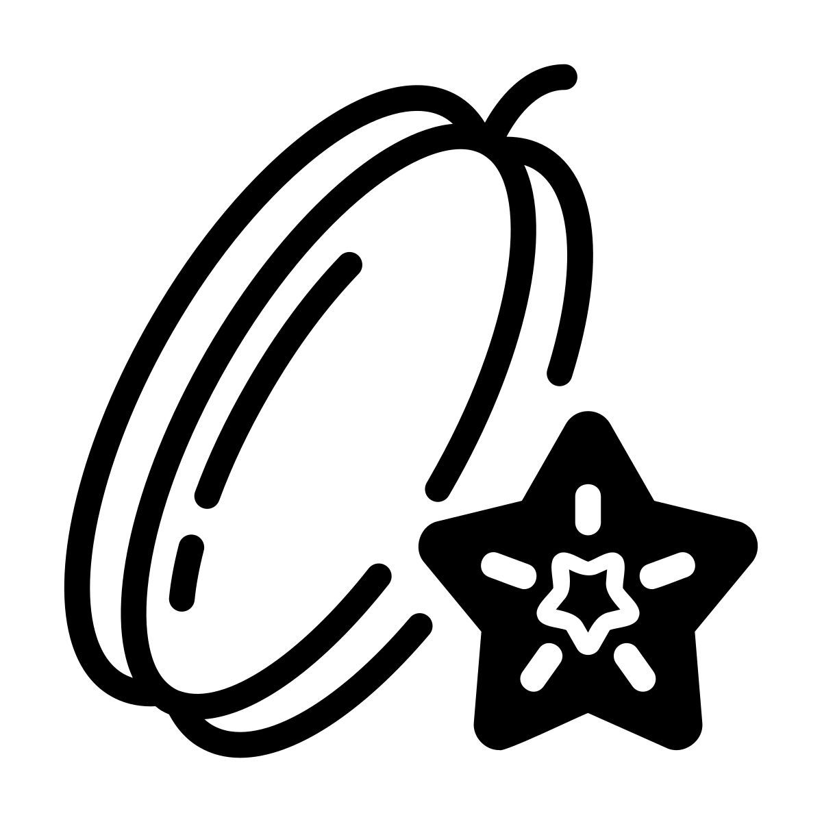star fruit icon