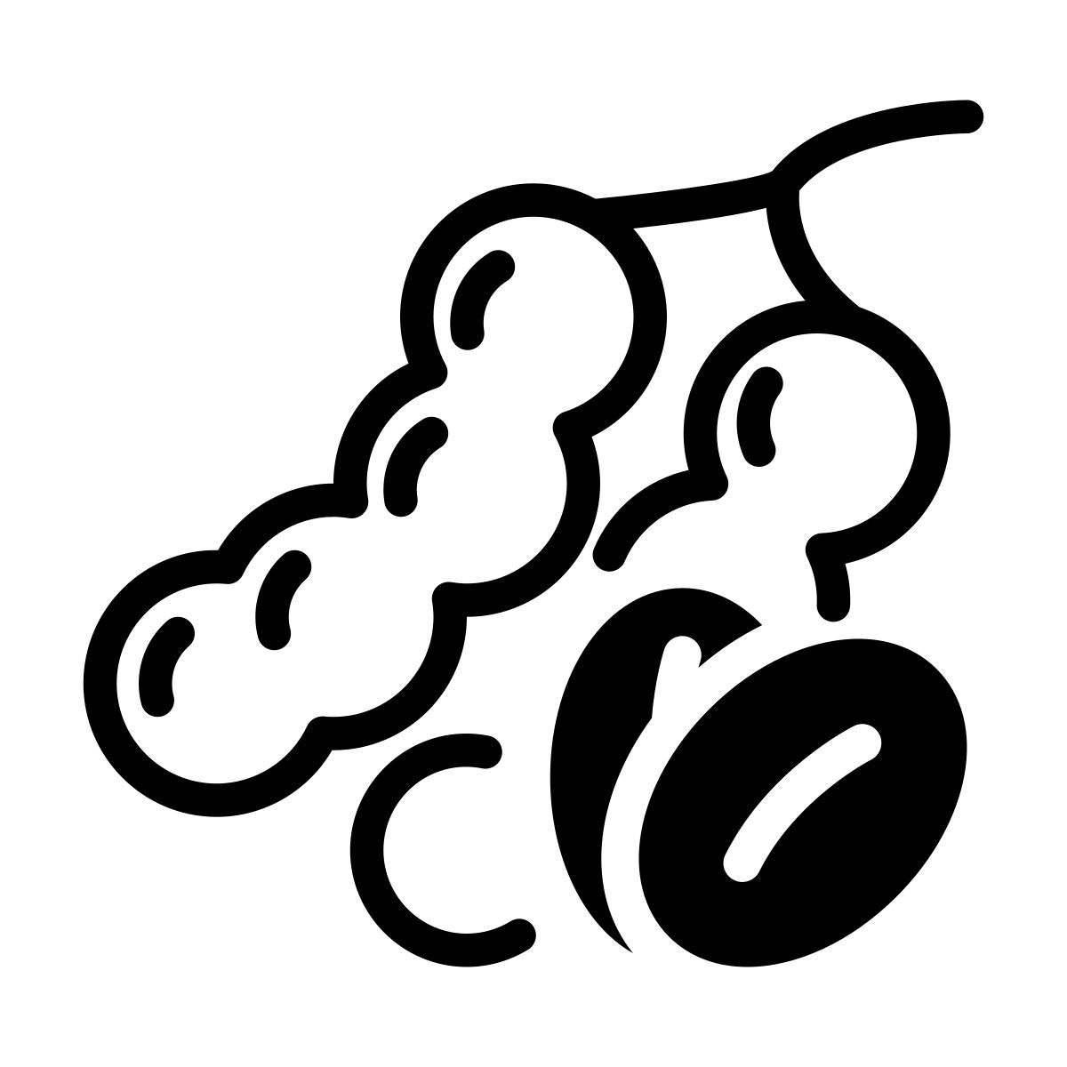 tamarinde icon