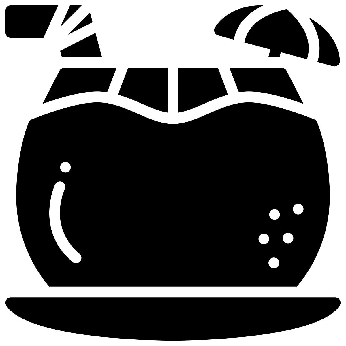 coconut drink icon