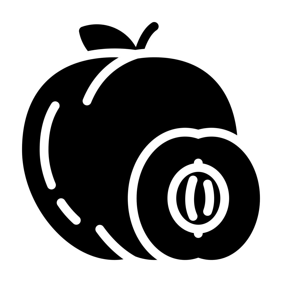 albaricoque icon