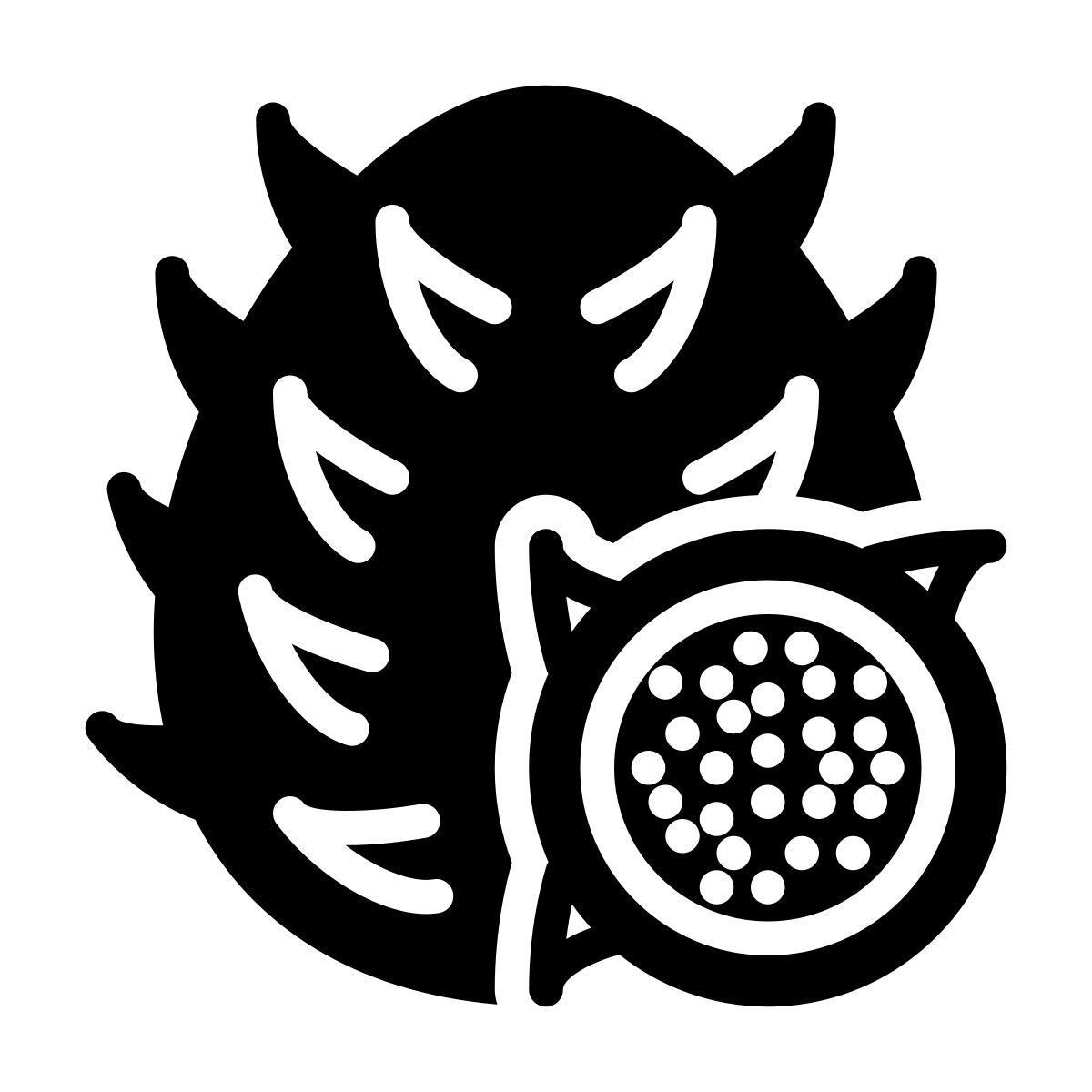 dragonfruit icon
