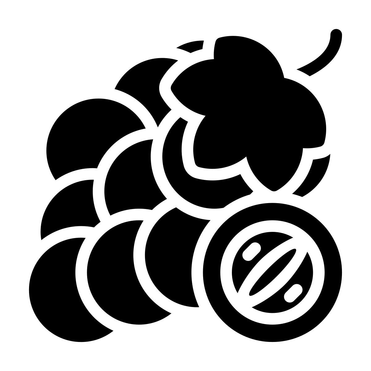 grapes icon