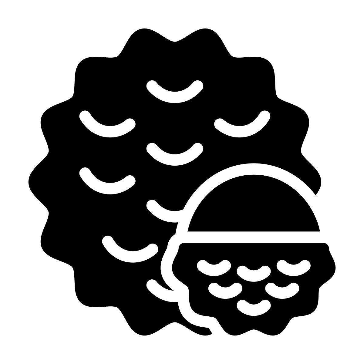 lychee icon