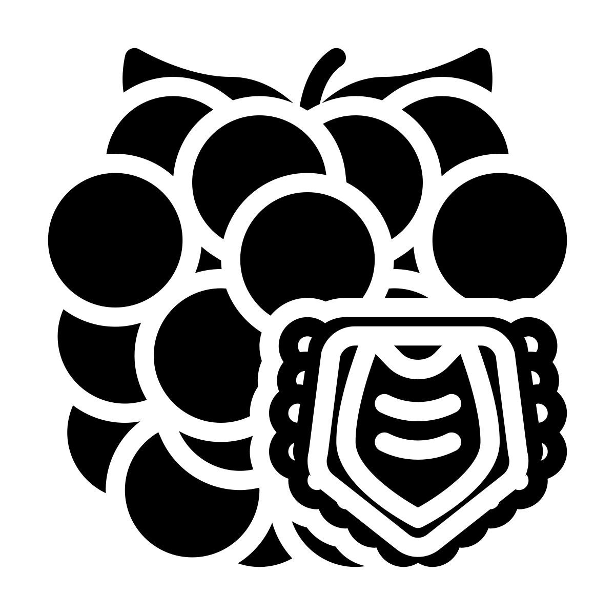 raspberry icon