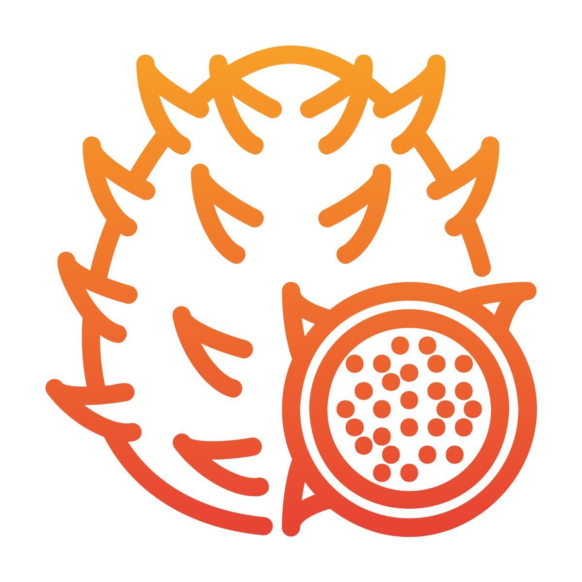dragonfruit icon