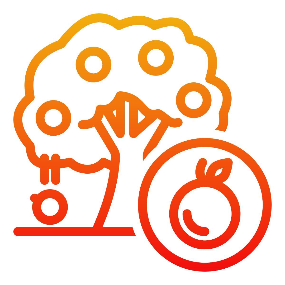 fruit tree icon