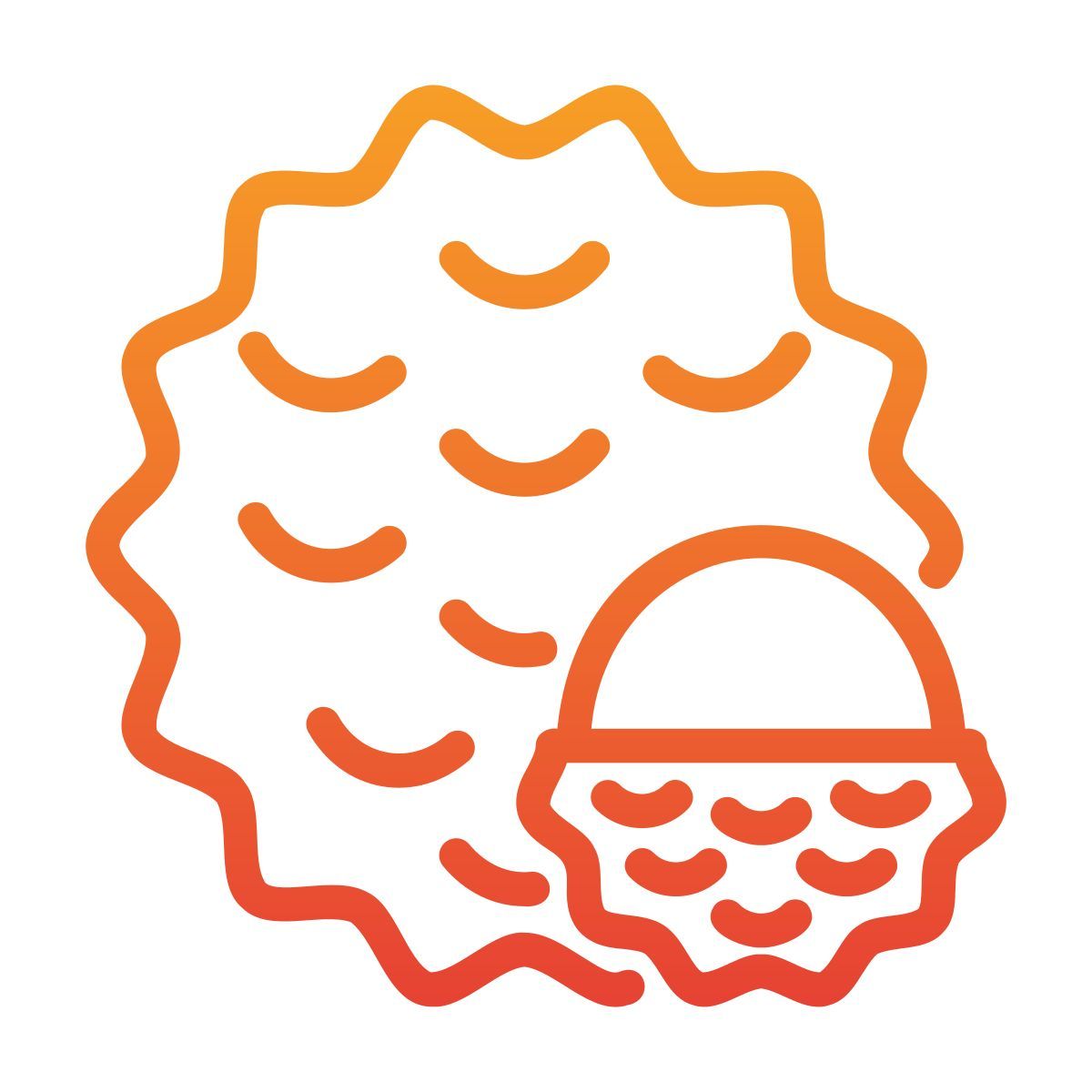 lychee icon