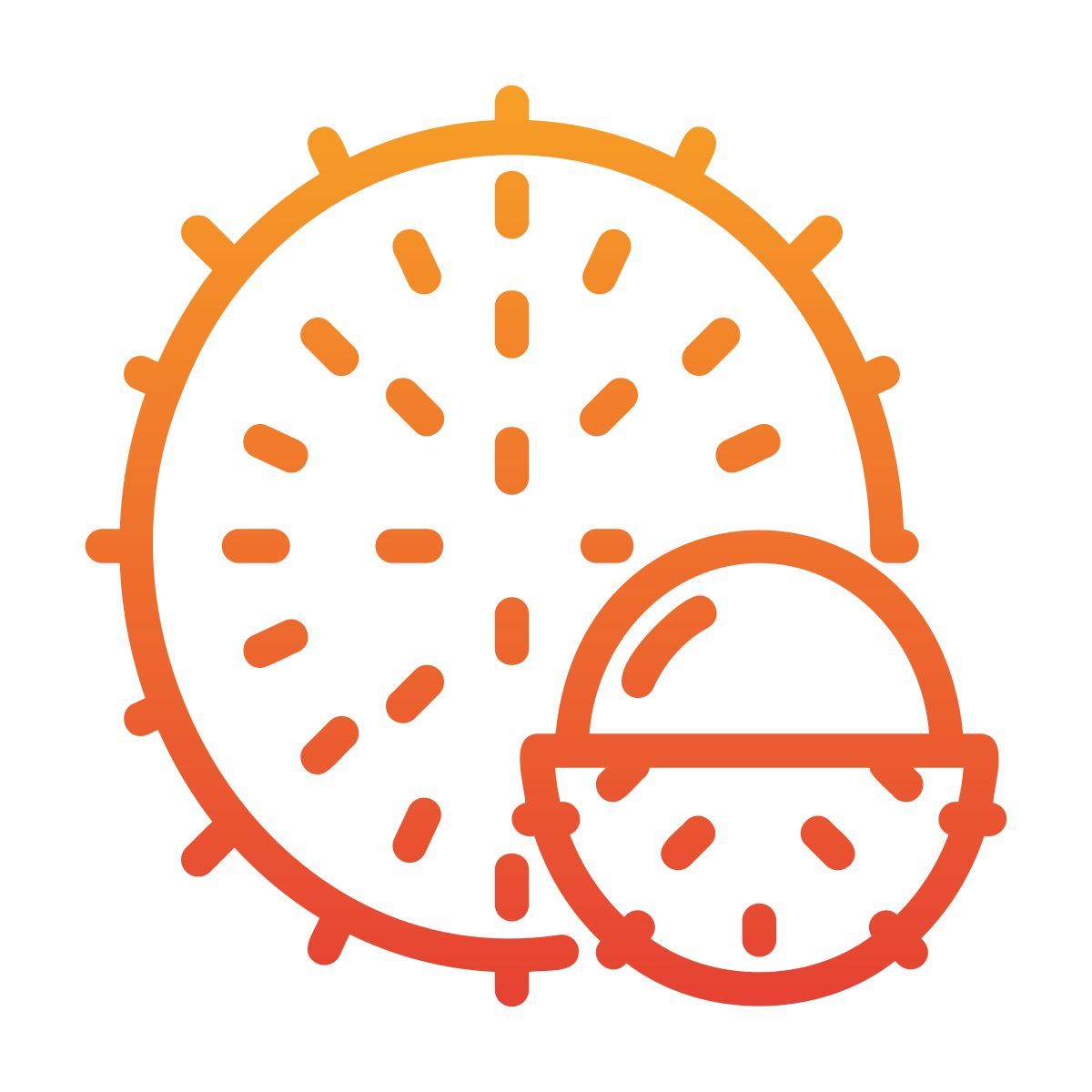 rambutan icon