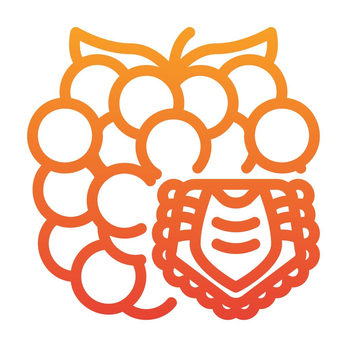 raspberry icon