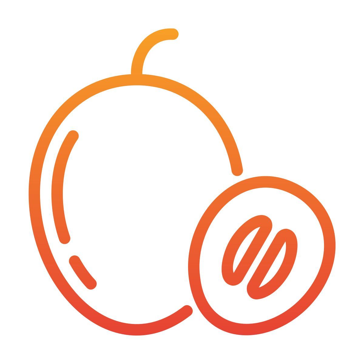sapodilla icon