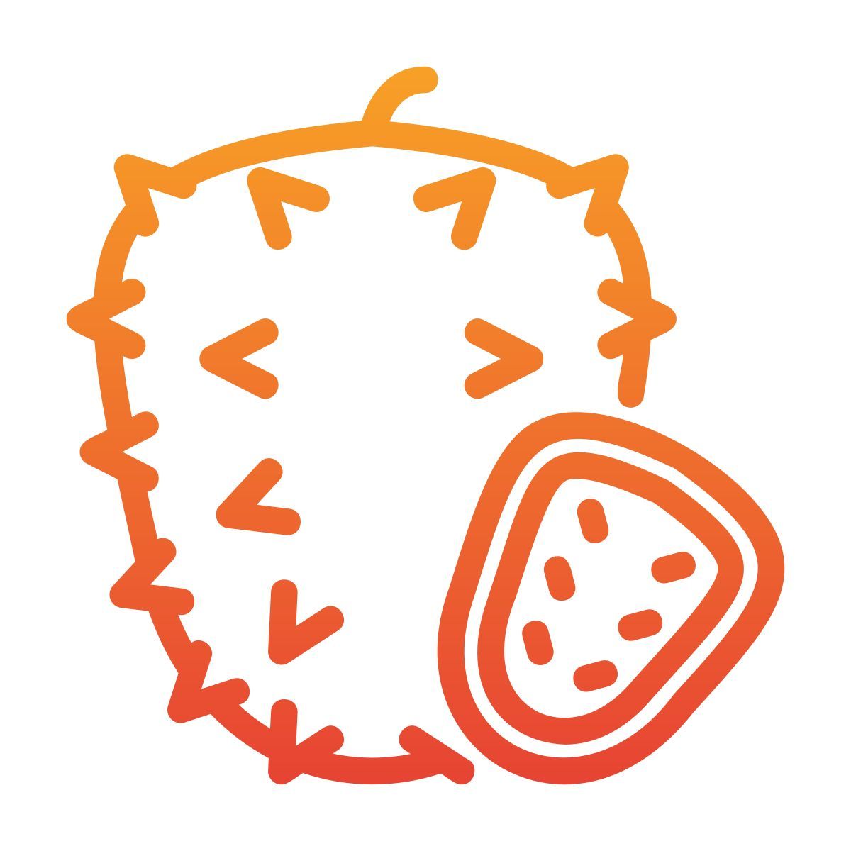 soursop icon