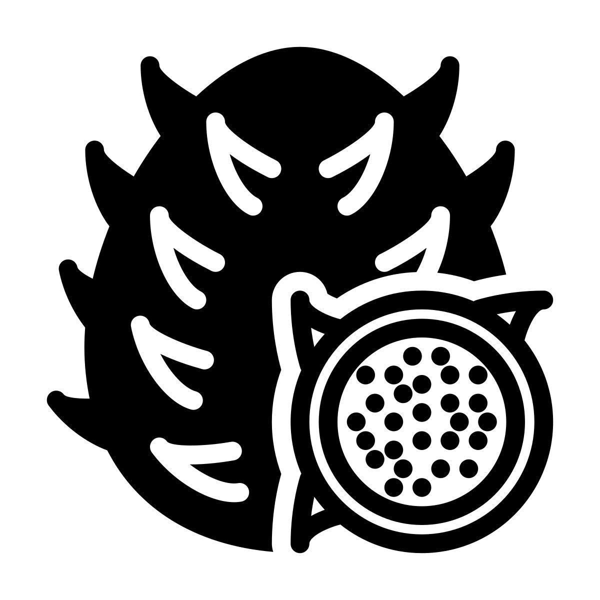 dragonfruit icon