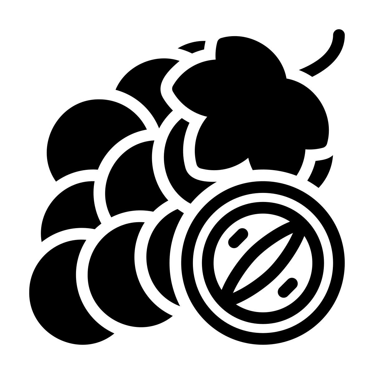 grapes icon