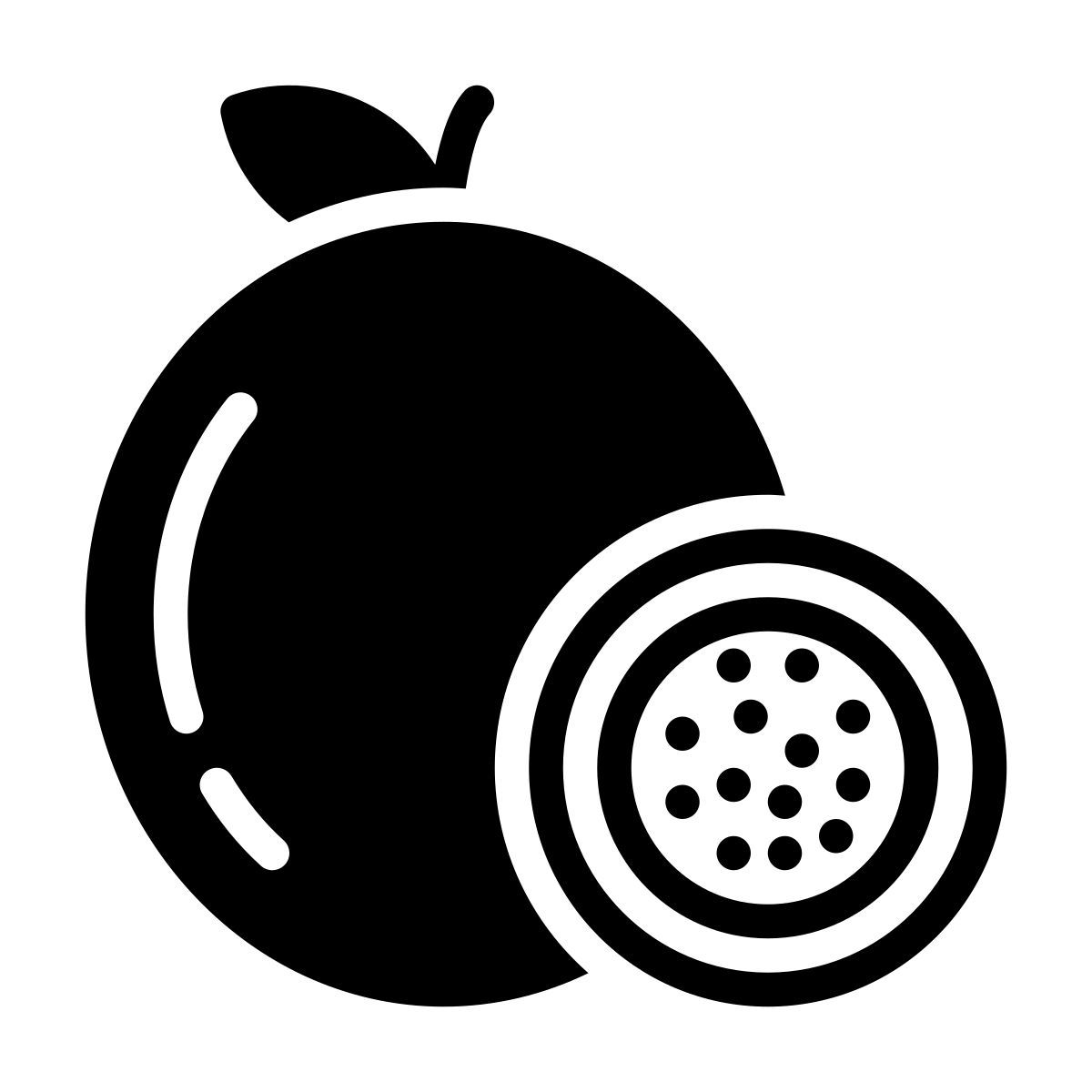 passion fruit icon