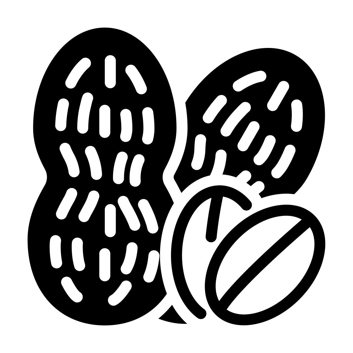 peanut icon