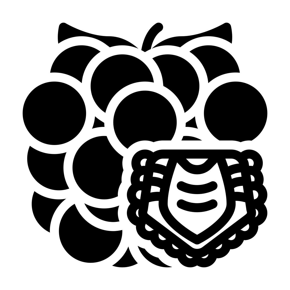 raspberry icon