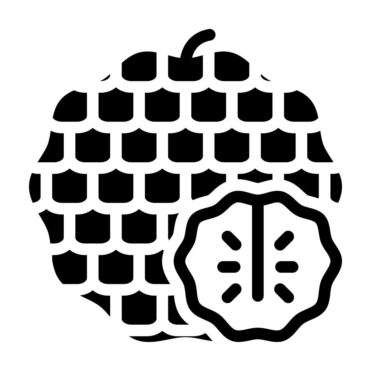 sugar apple icon