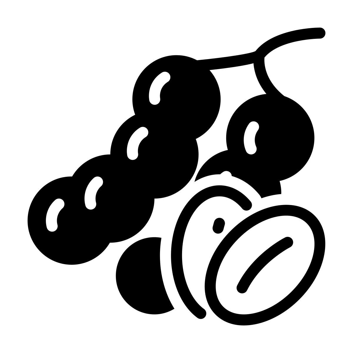 tamarinde icon