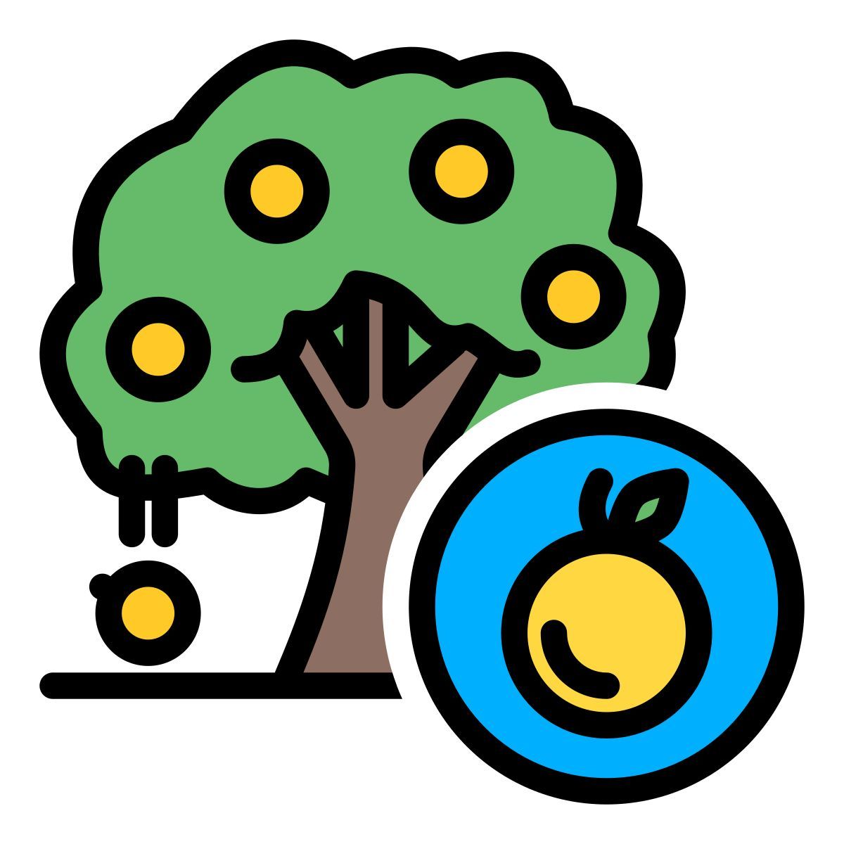 fruit tree icon