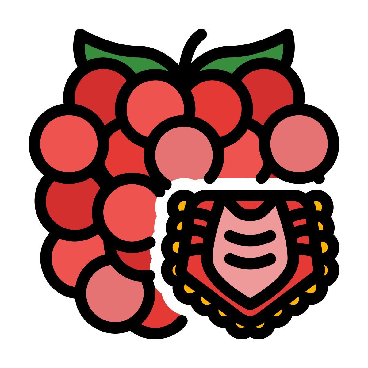 raspberry icon