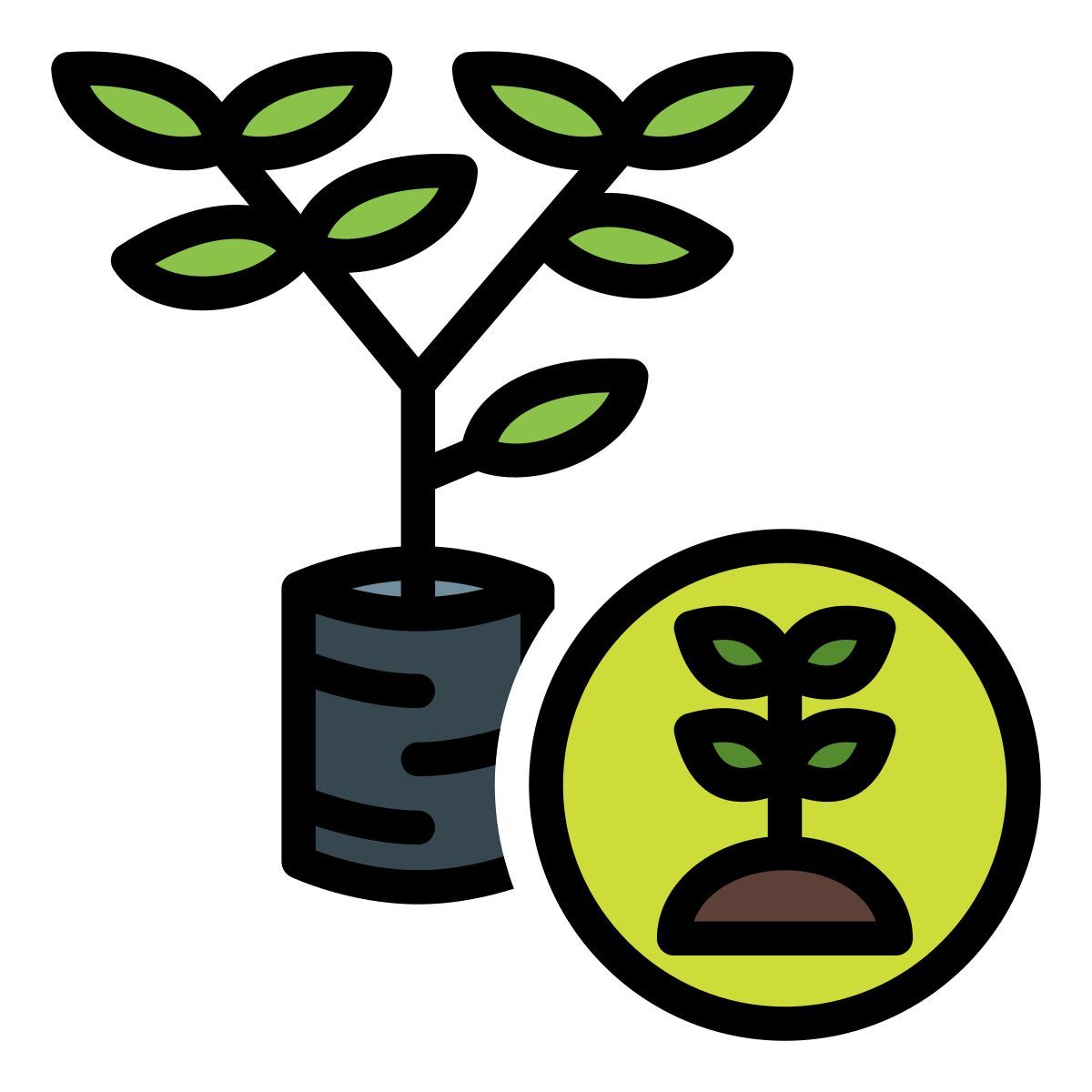 sprout icon