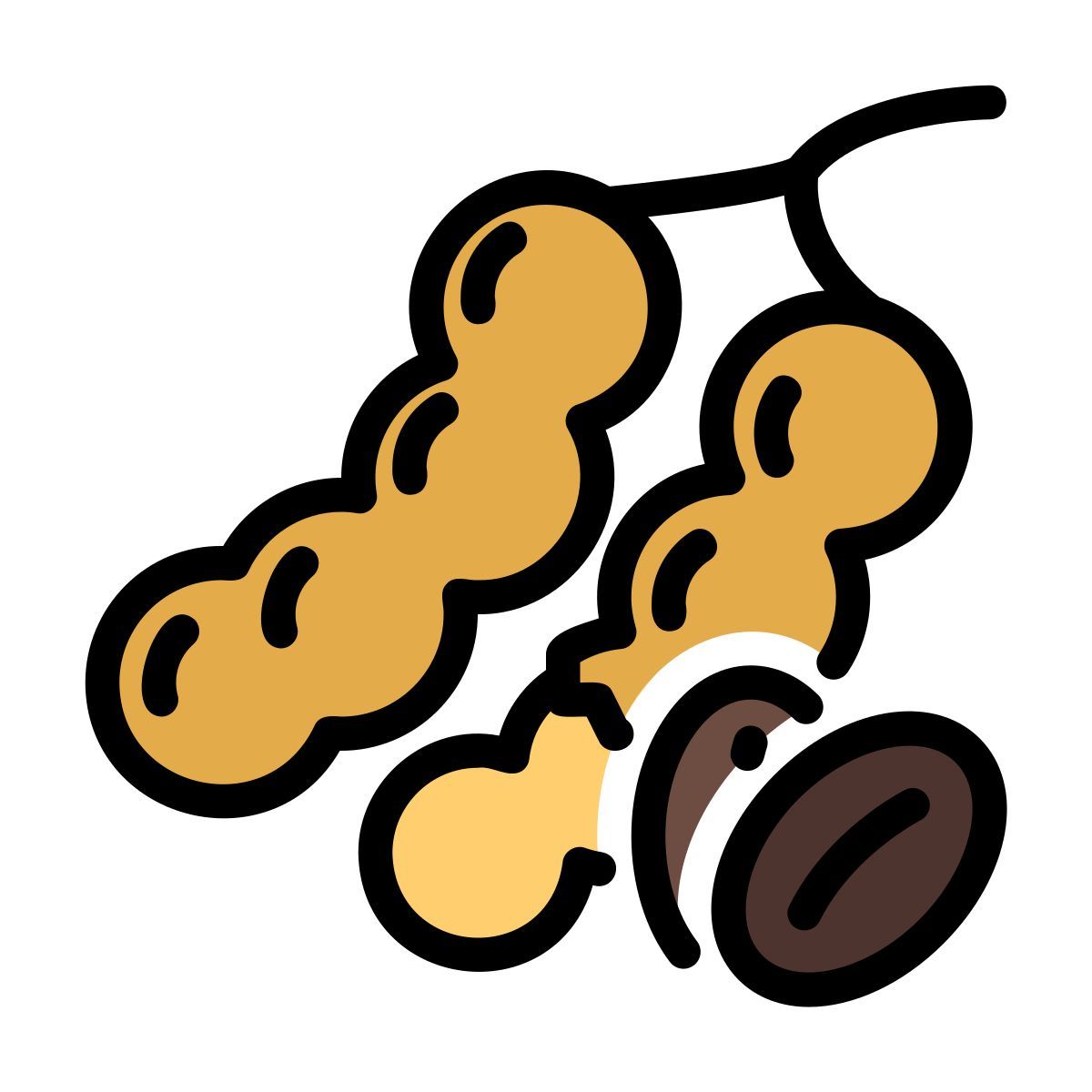 tamarinde icon