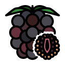 external Blackberry-fruits-febrian-hidayat-outline-color-febrian-hidayat icon
