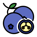 external Blueberry-fruits-febrian-hidayat-outline-color-febrian-hidayat icon