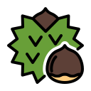 external Chestnut-fruits-febrian-hidayat-outline-color-febrian-hidayat icon