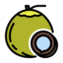 external Coconut-fruits-febrian-hidayat-outline-color-febrian-hidayat icon