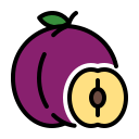 external Plum-fruits-febrian-hidayat-outline-color-febrian-hidayat icon